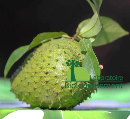 Le fruit et la fruit du graviola corossol de l’Amazonie 